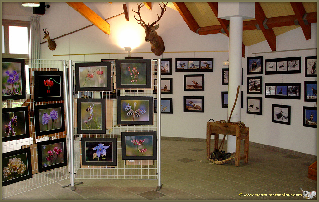 Office de Tourisme de Saint Dalmas le Selvage