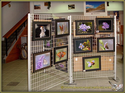 Office de Tourisme de Saint Dalmas le Selvage