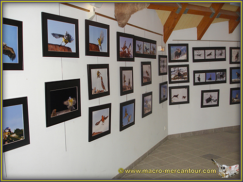 Office de Tourisme de Saint Dalmas le Selvage