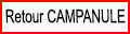 Retour page Campanules