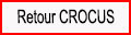 Retour Crocus