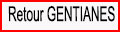 Retour Gentianes