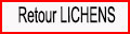 Retour Lichens